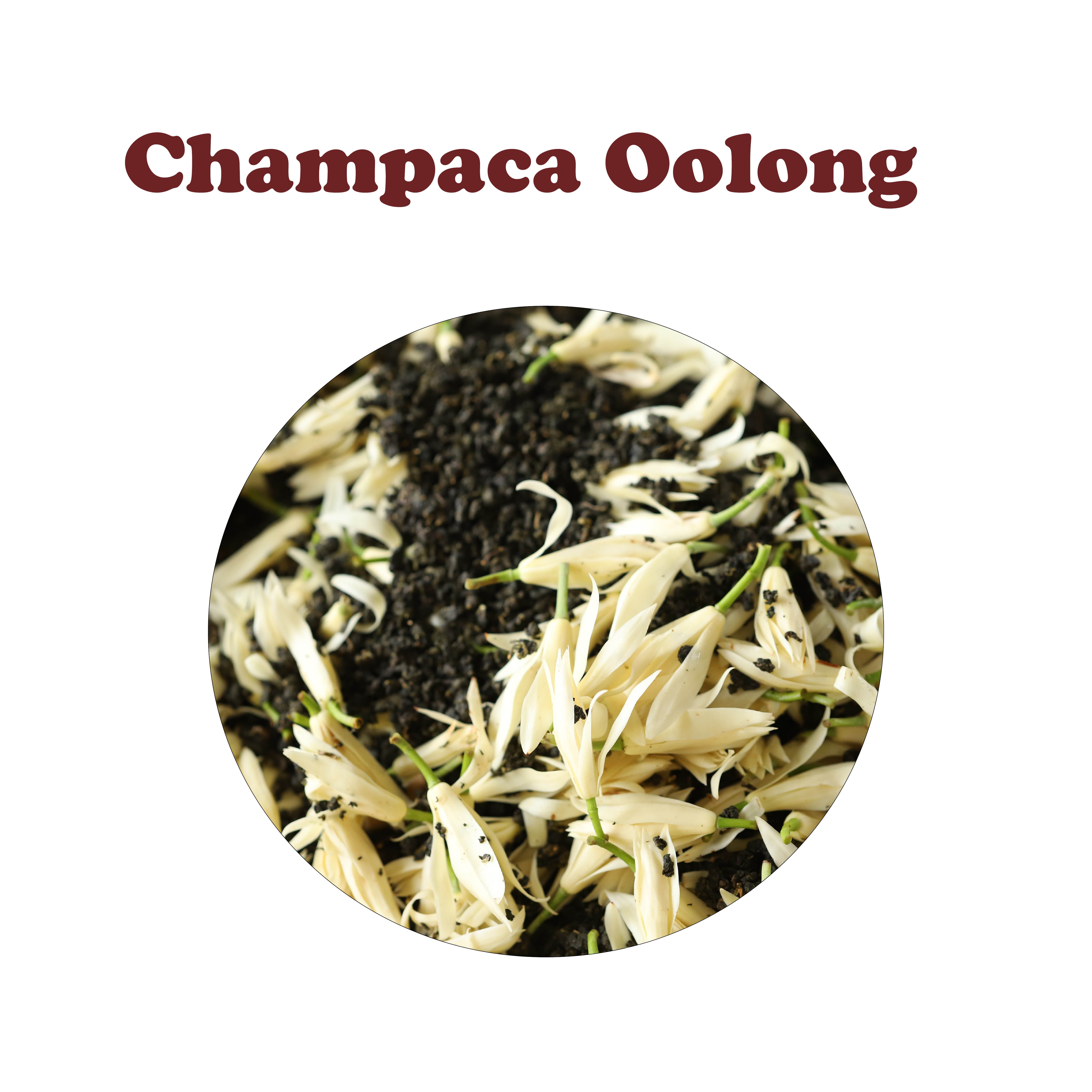 Champaca Oolong 白兰乌龙