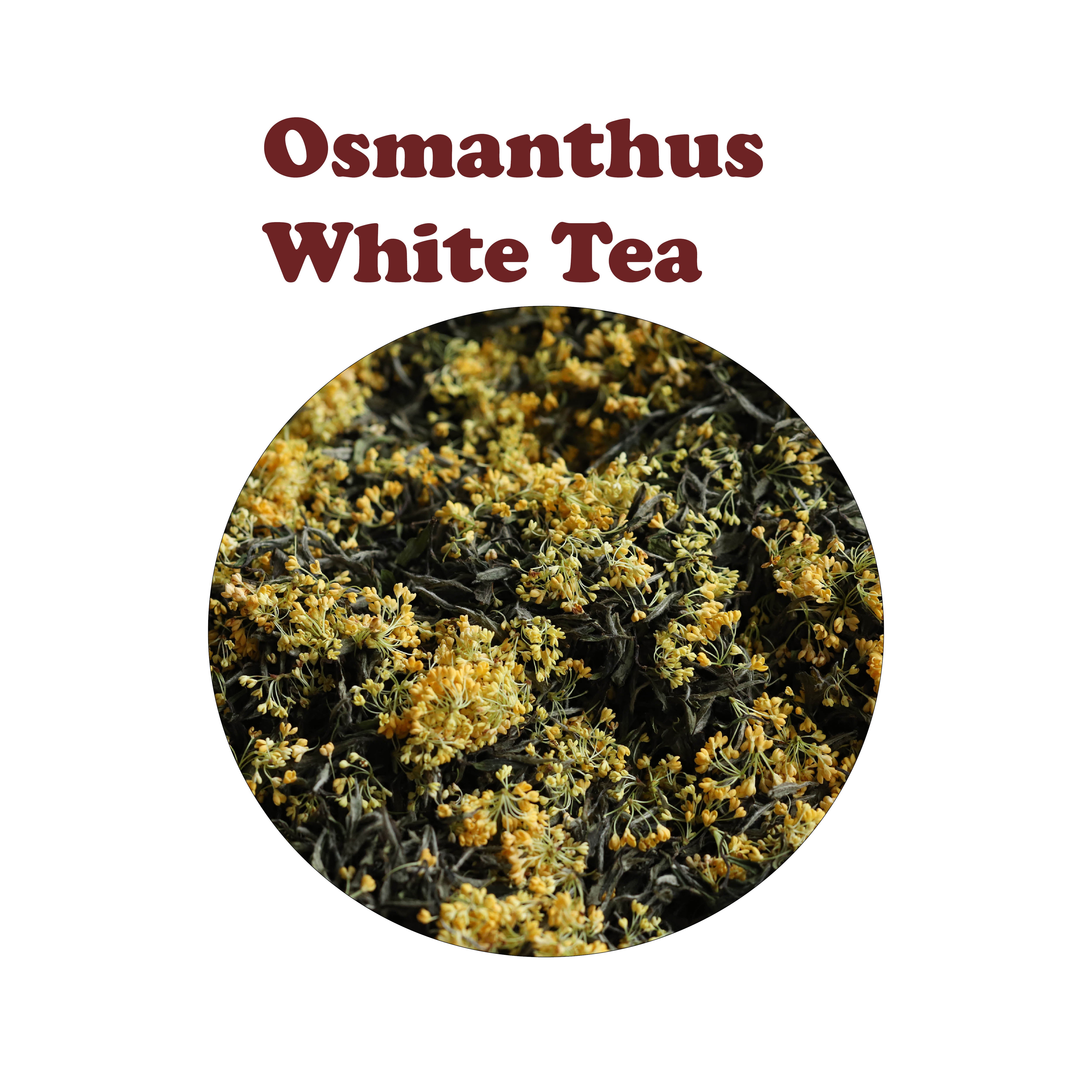 Osmanthus White Tea 桂花白茶