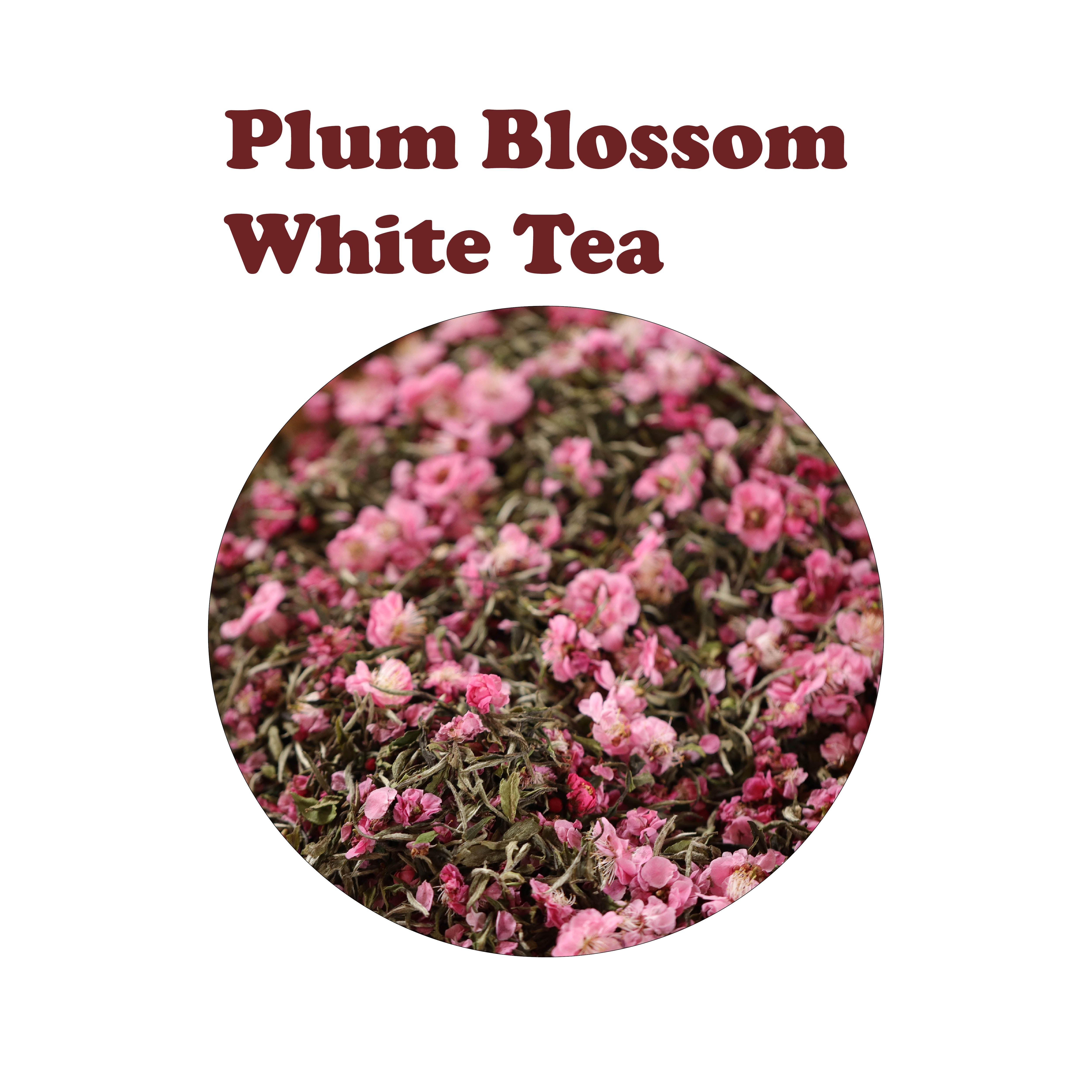 Plum Blossom White Tea 红梅白茶