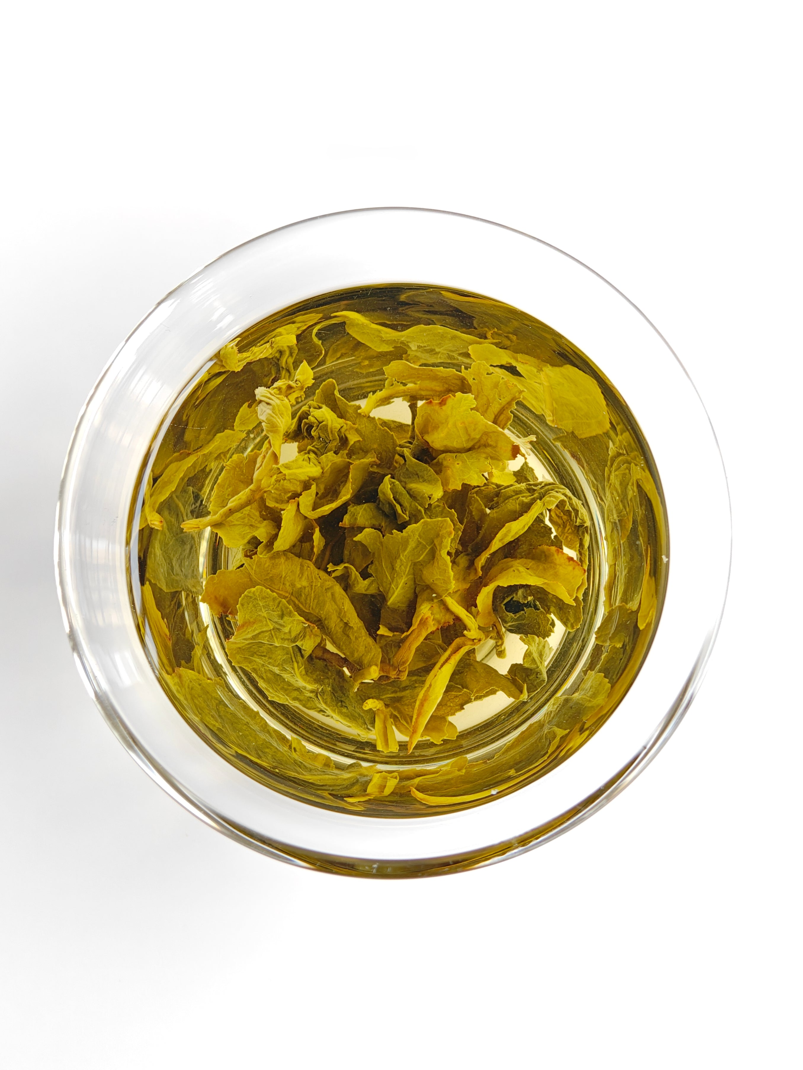 Jasmine Oolong 茉莉乌龙
