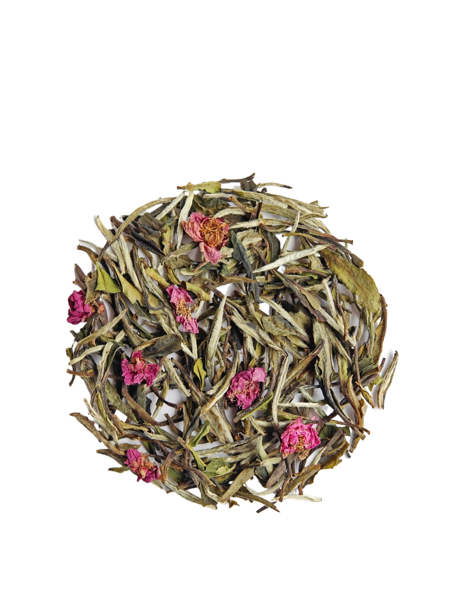 Plum Blossom White Tea 红梅白茶