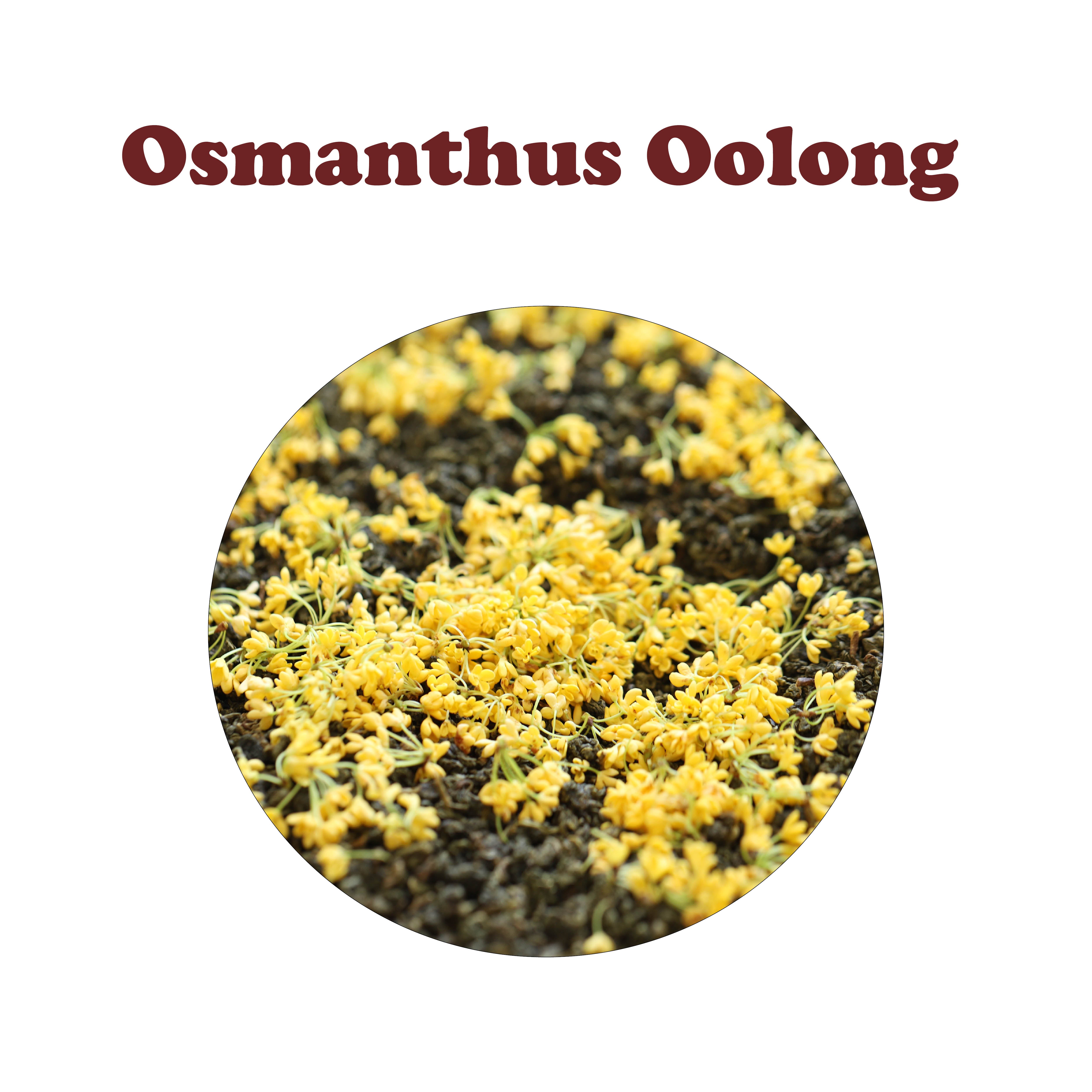 Osmanthus Oolong 桂花乌龙