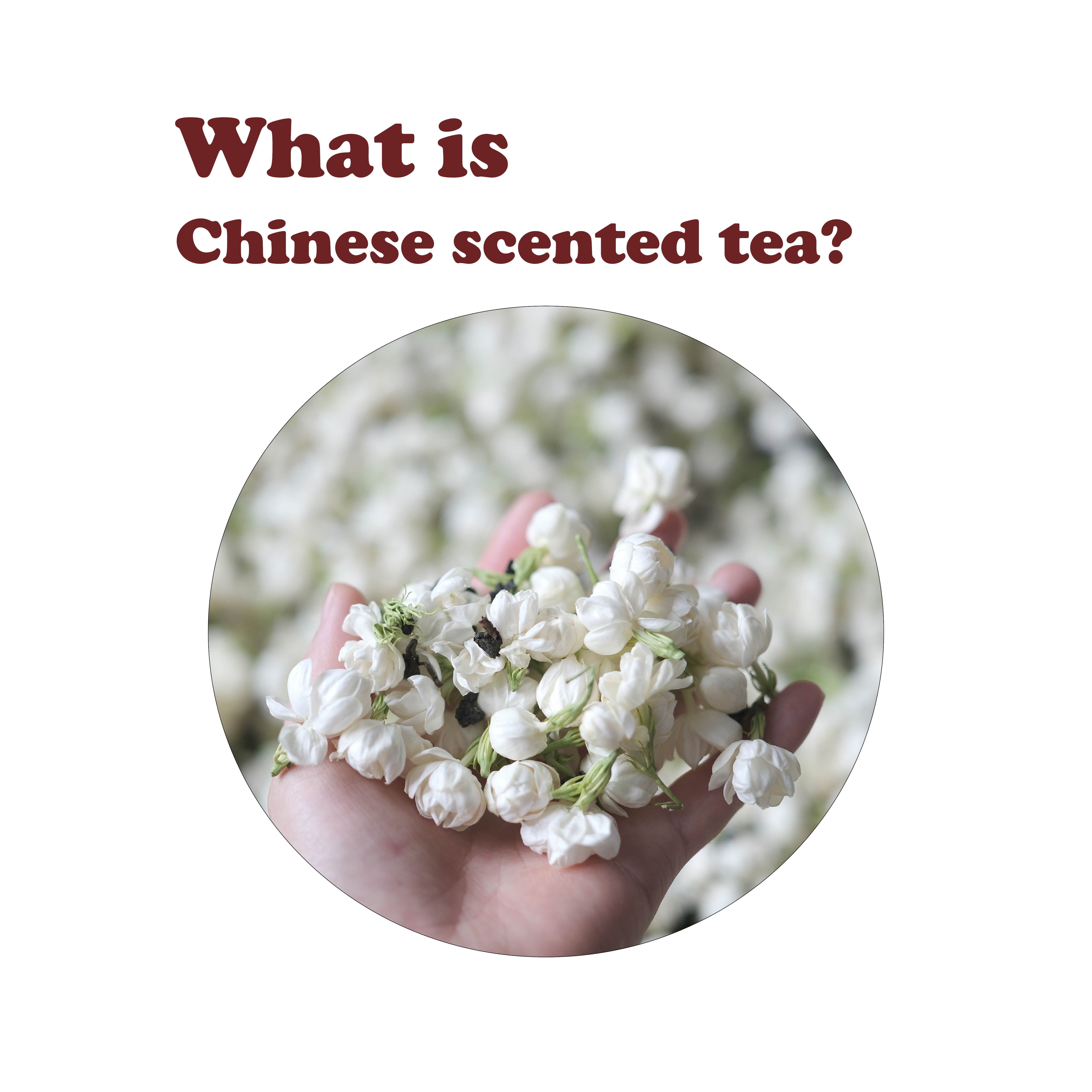 Scented tea: What is Chinese scented tea? 你了解中国窨制花茶吗？