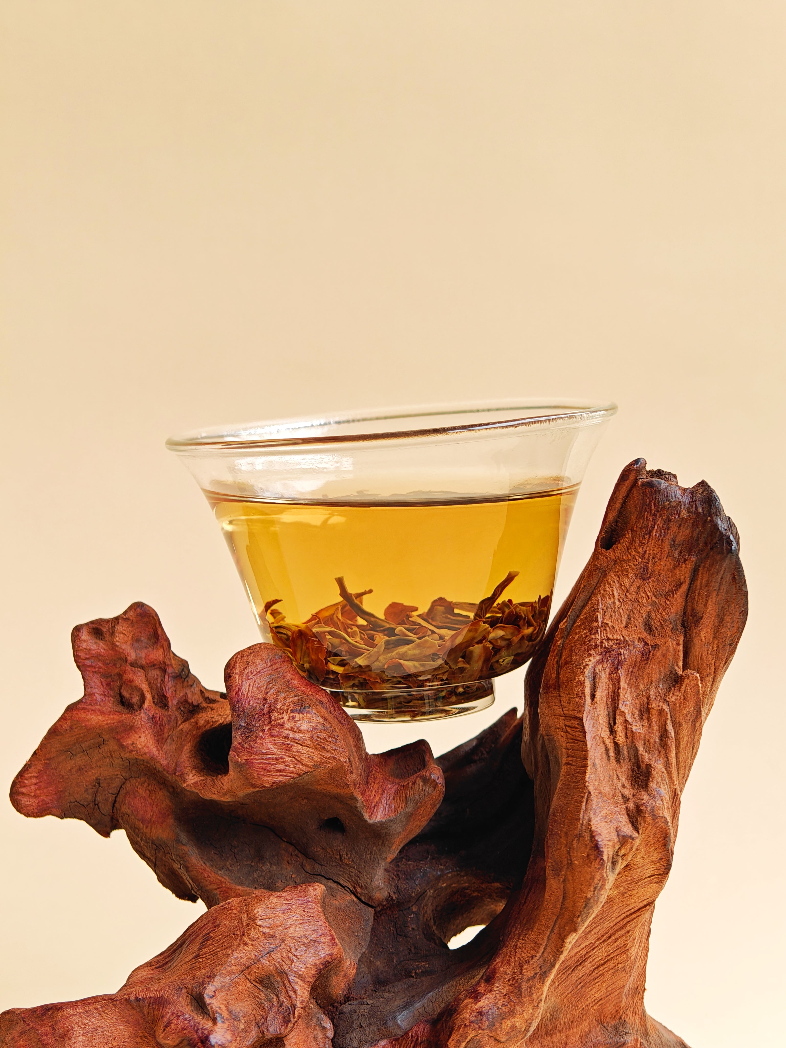 Song Xiang Lao Cong—Phoenix Dan Cong 百年松香老枞
