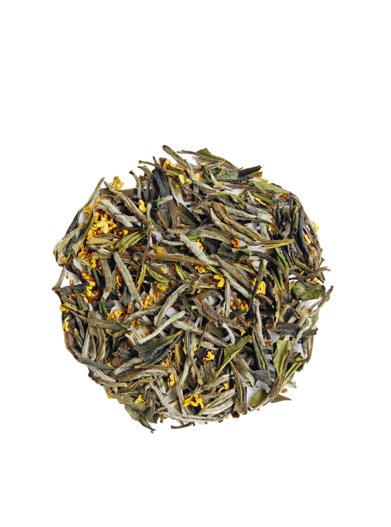 Osmanthus White Tea 桂花白茶