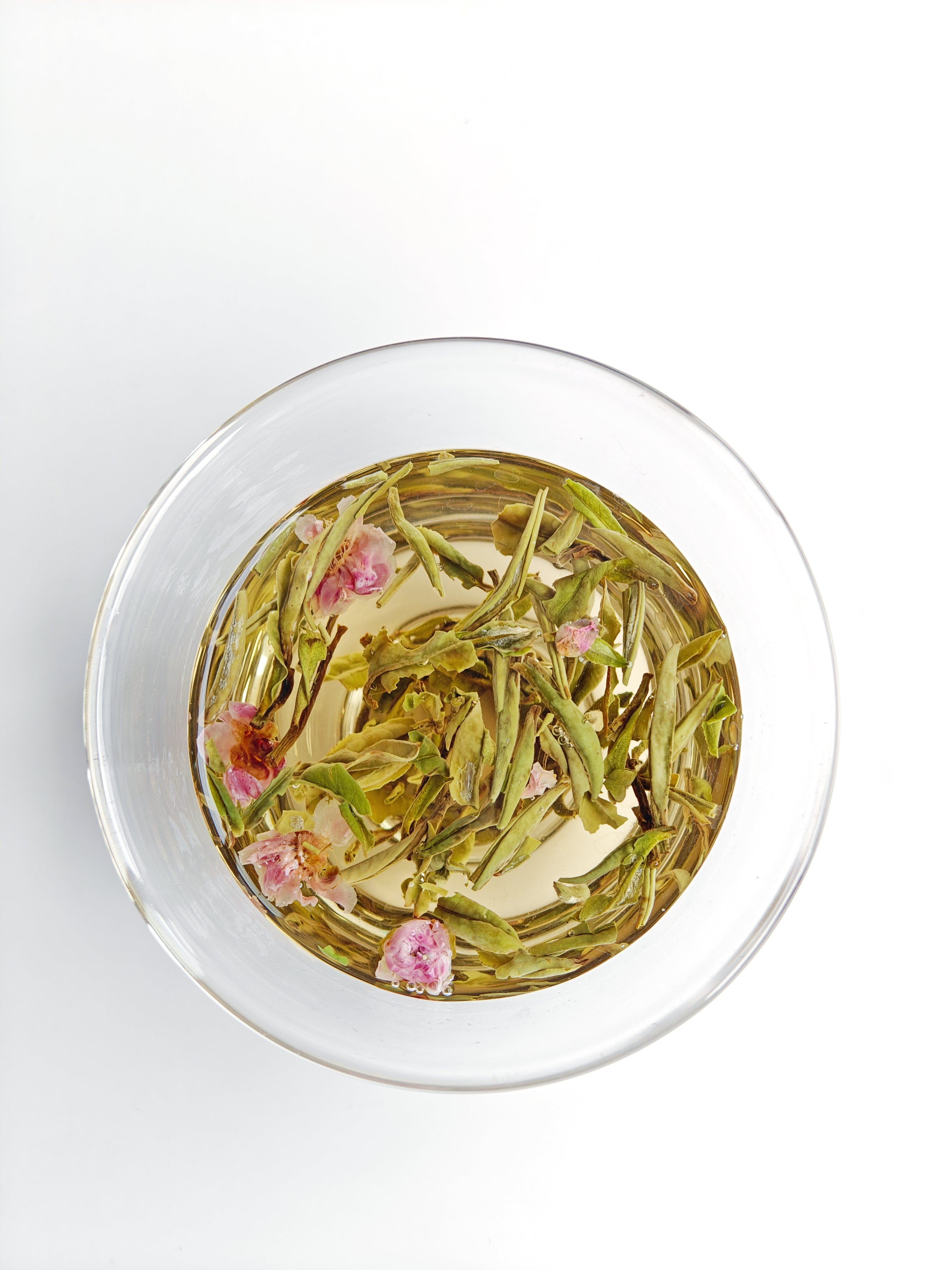 Plum Blossom White Tea 红梅白茶